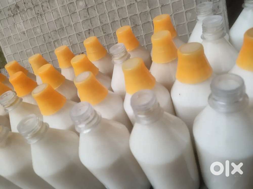 Start Your Own Phenyl Brand – Easy & Affordable!