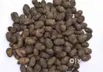 जामुन गुठली /jamun plum