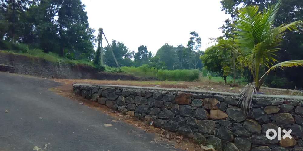 Kaduthuruthi near muttuchira 8,10 cent, asking price 160000 per cent