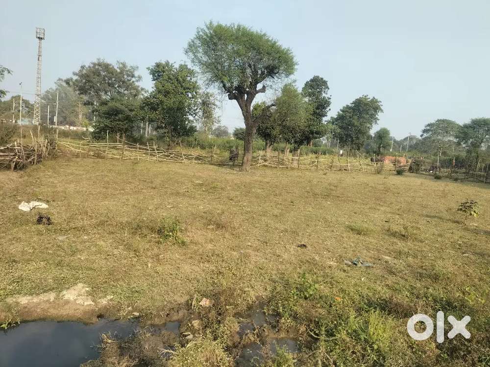 Bhuibhand High school ke samne railway line ke just Bagal mein