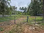35 cents of land for Rent