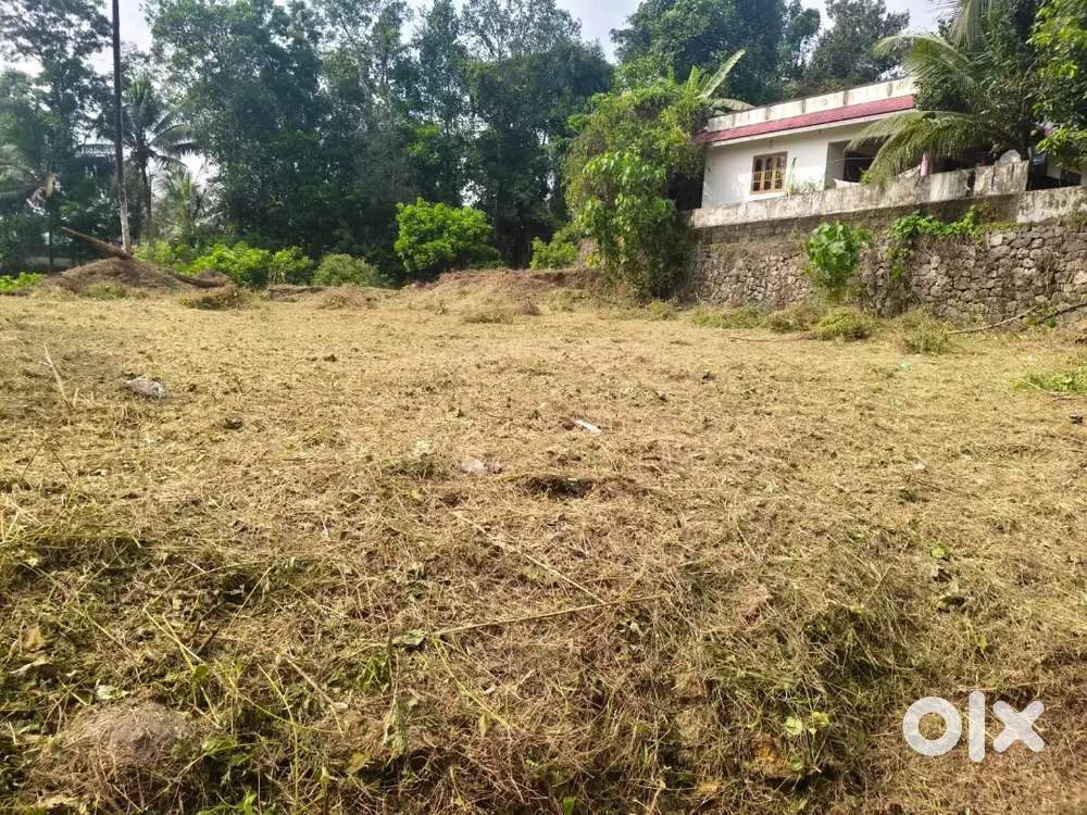 കൂരാലി 18 cent house plot.1.30 .lakh.