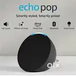 Alexa echo pop