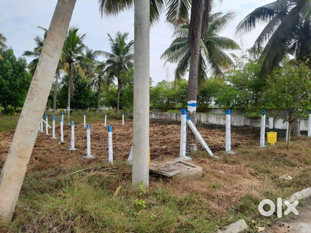 Invest in Thavallasa – Fully Developed VUDA-Approved Plots