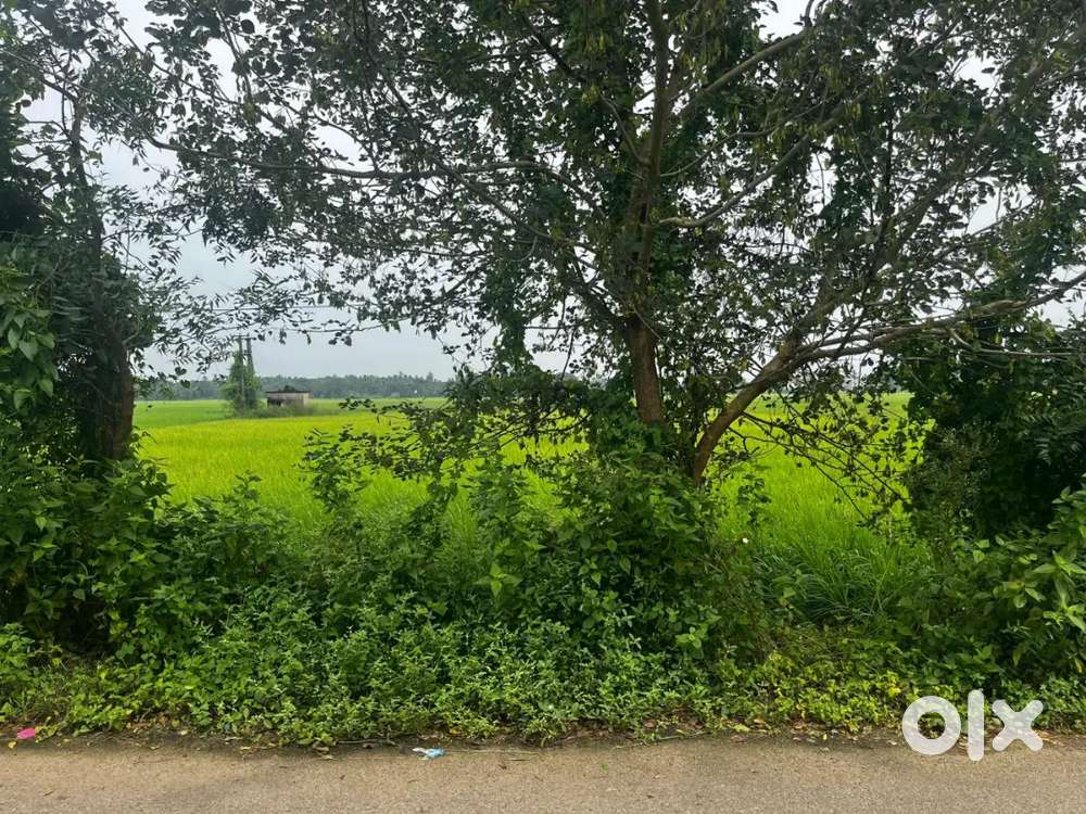 Urgent sale property