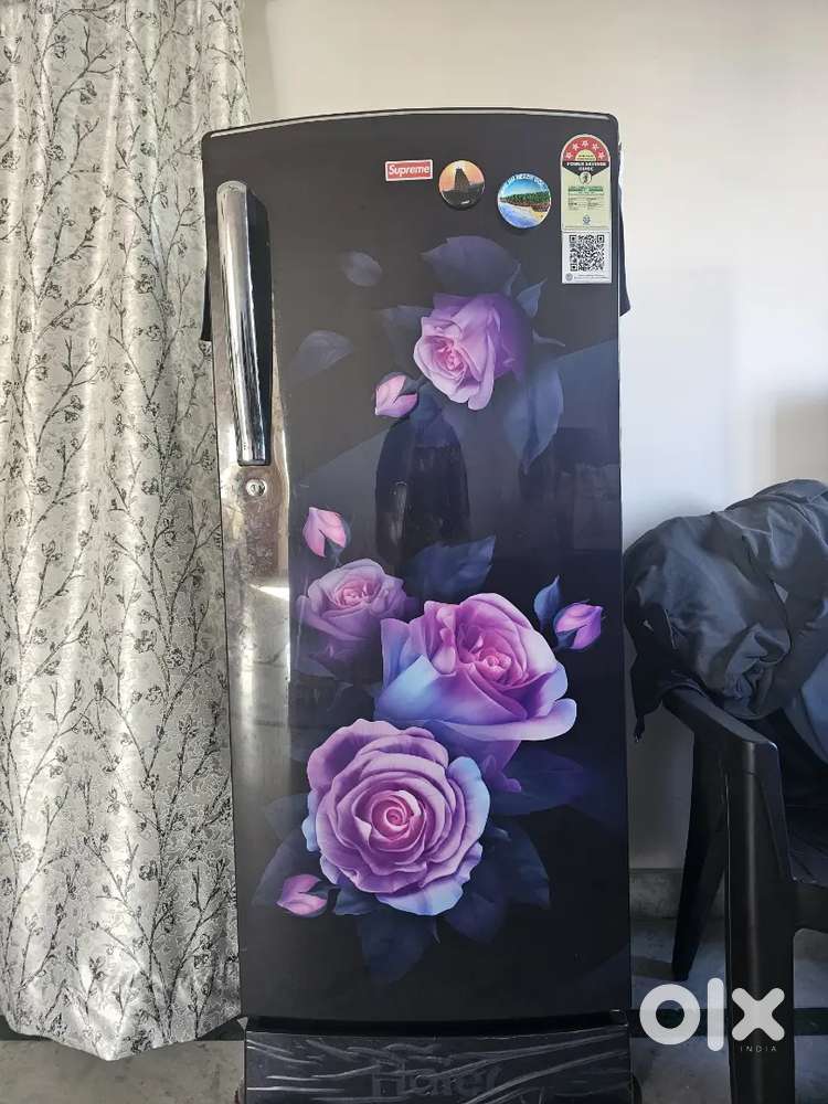 2025 Haier 205L 5Star Direct Cool Single Door