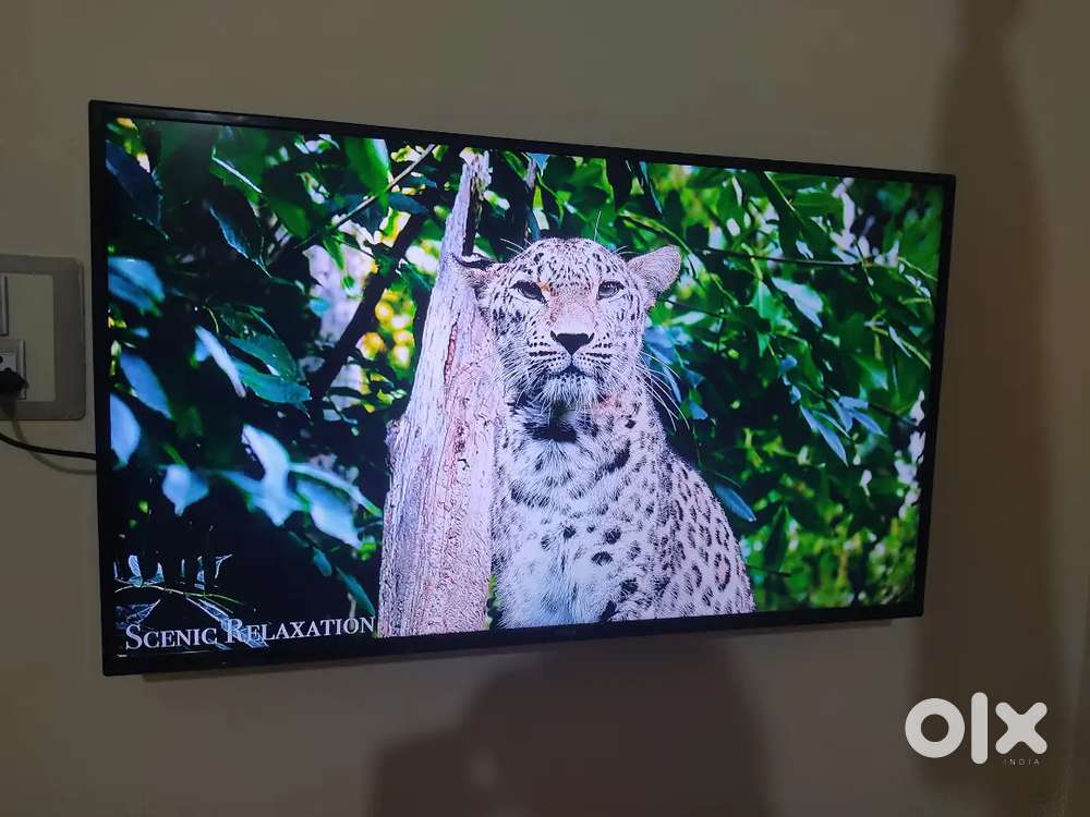 43 smart tv