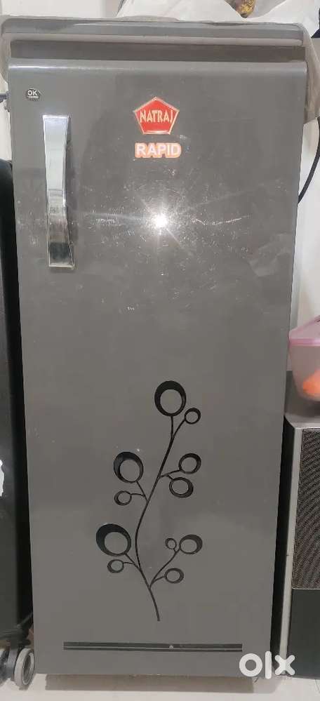 Natraj Rapid Designer Automatic Domestic Flourmill