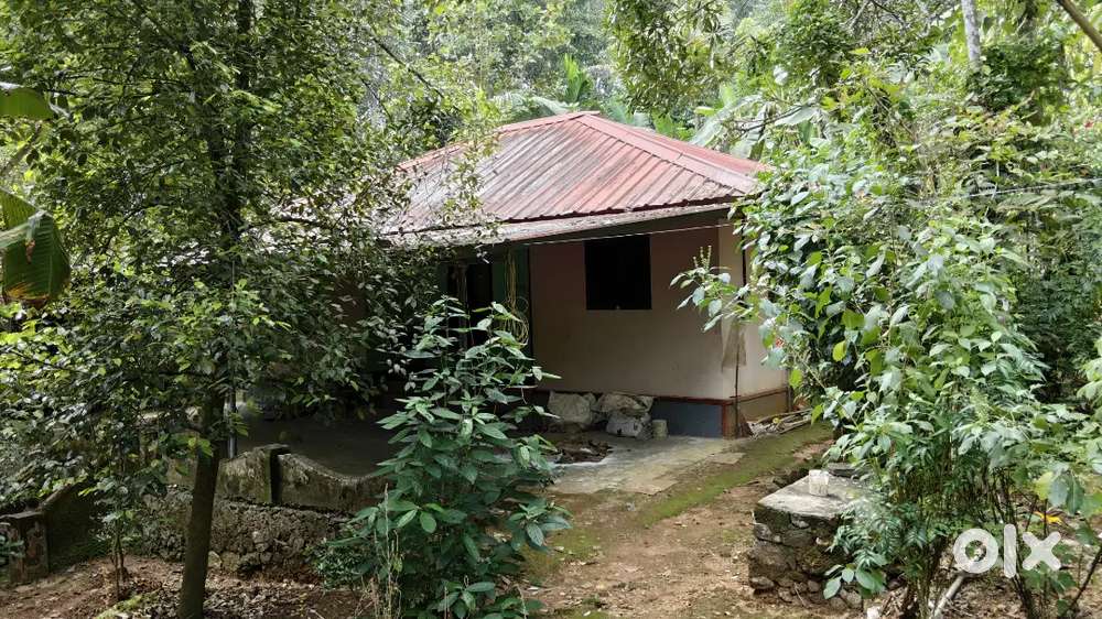 25 cent plot with house for sale