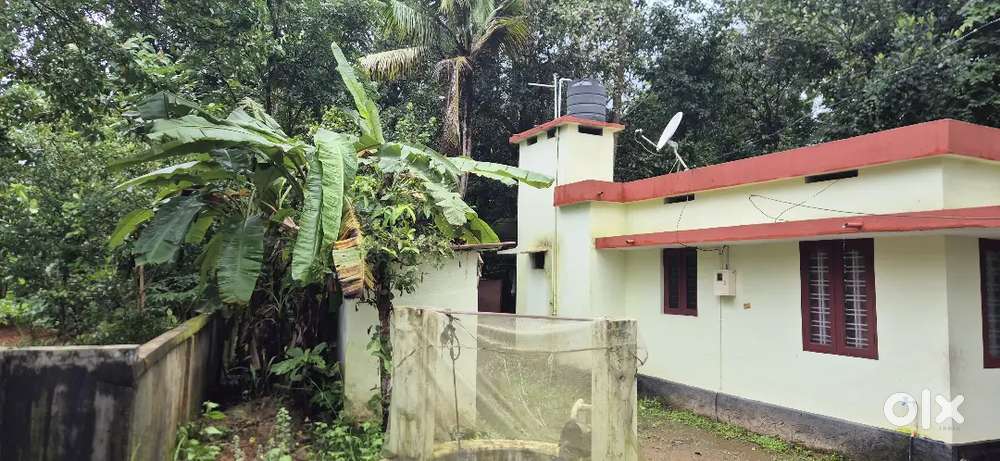 Square Plot with a small house near Chalakudi
