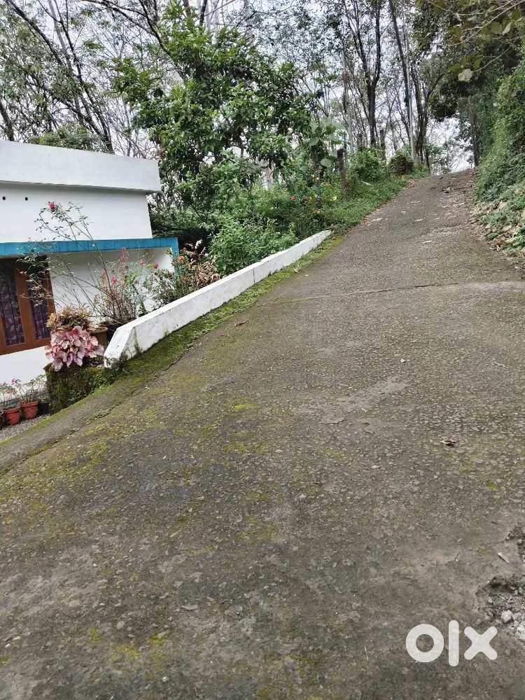 40 cent plot with house place kolani,nadukandam