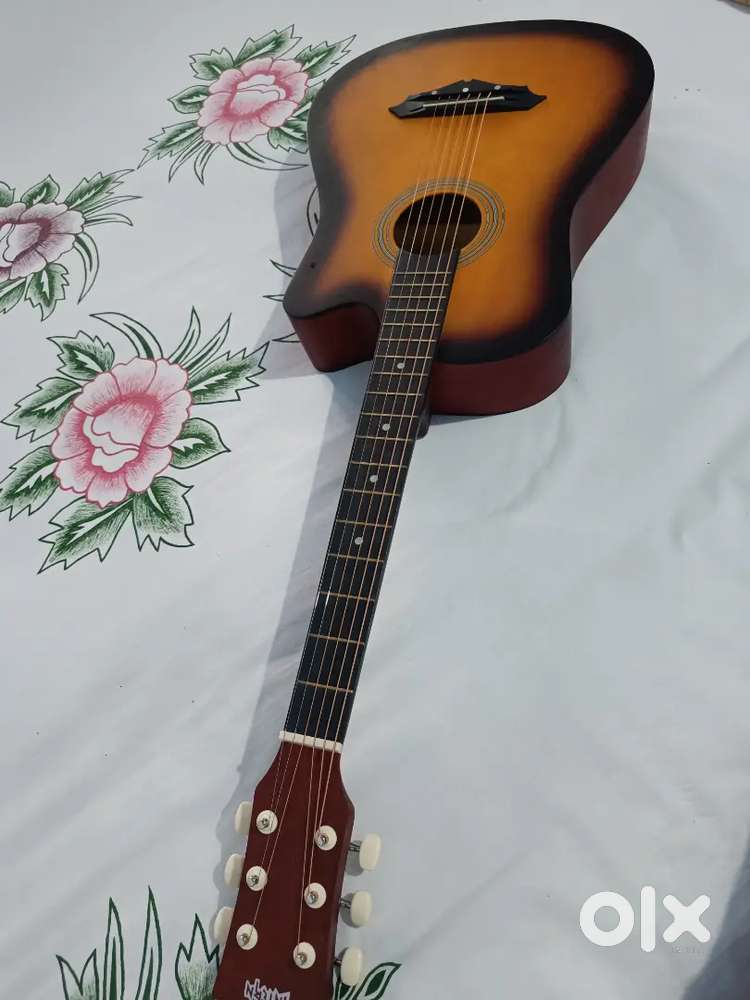 Guitar(intern) company