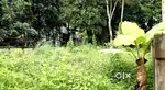 5 cent plot തുറവൂർ അമ്പലത്തിന് അടുത്ത് 100 മീറ്റർ മാറി