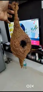 Kilikud.new