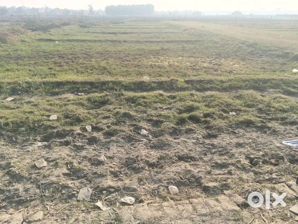 Shuklaganj champapurwa