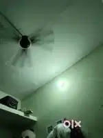 Need a roomate