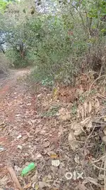 NA plot nr Bicholi theatre