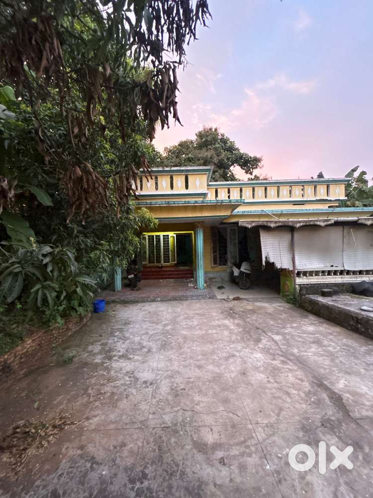 14 cent plot with house near palakkal  centre just 300 m to the centre