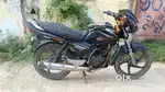 Suzuki zeus