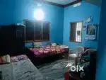 Home rent, near madnawati public school