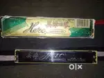Harmonica mouth organ