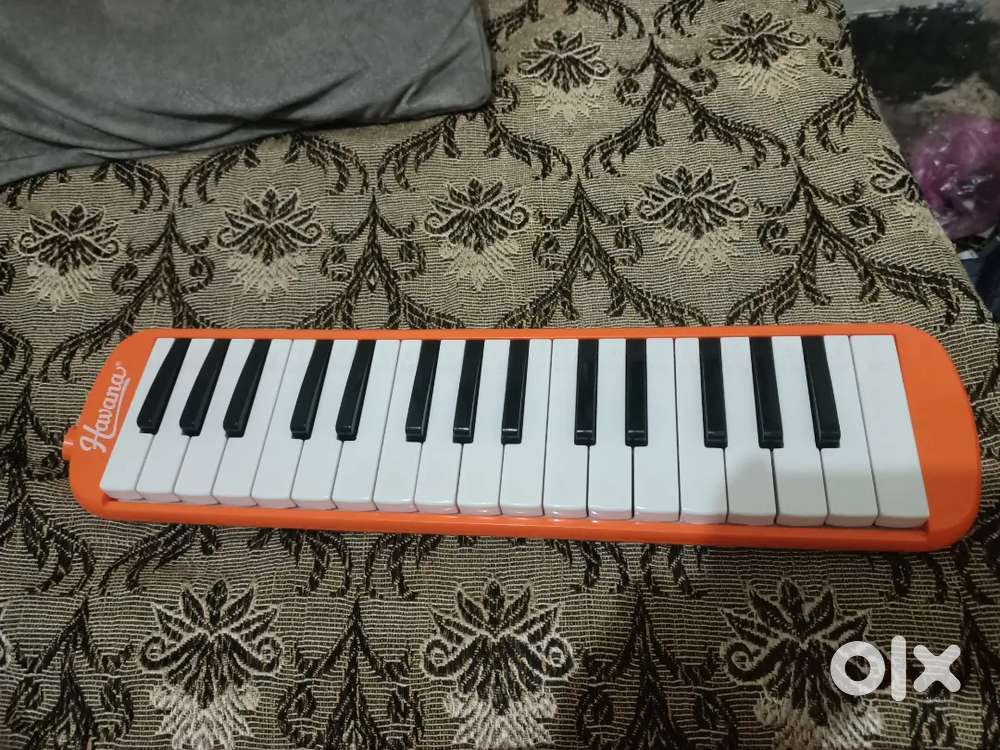 Harmonica ok condition