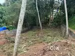 Poonkulam 5 cent , 3.25