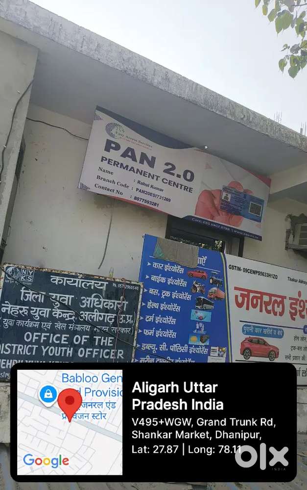 Office assistant and collection executive