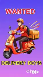Wanted delivery boys