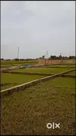 Residental and Commercial Land in Rajgir @ Lowest Rates