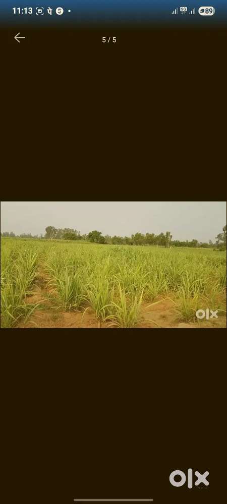 Agriculture land for sale