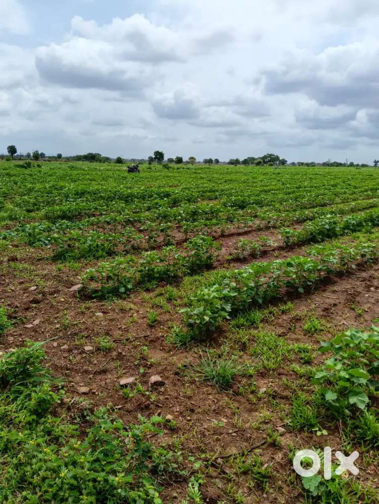 7 acres Agriculture land for sale