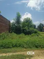 Lakhimpur khiri fattepur near by nigahsan road
