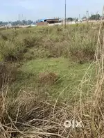 Plot on haridwar highway near roorkee