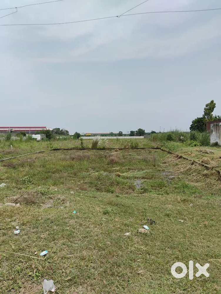 24.5 bhighe land for sale on black road near by sikandrabad bypas,,