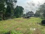അങ്കമാലി ടൗണിന് സമീപം ഹൗസ് പ്ലോട്ടുകൾ