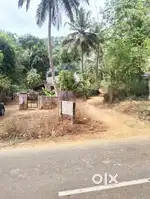 Residential plots of 7/6/5 cents at palakkad
