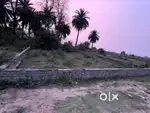 Plot for sale
