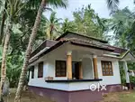 House for rent in calm and quite area near to kottappally