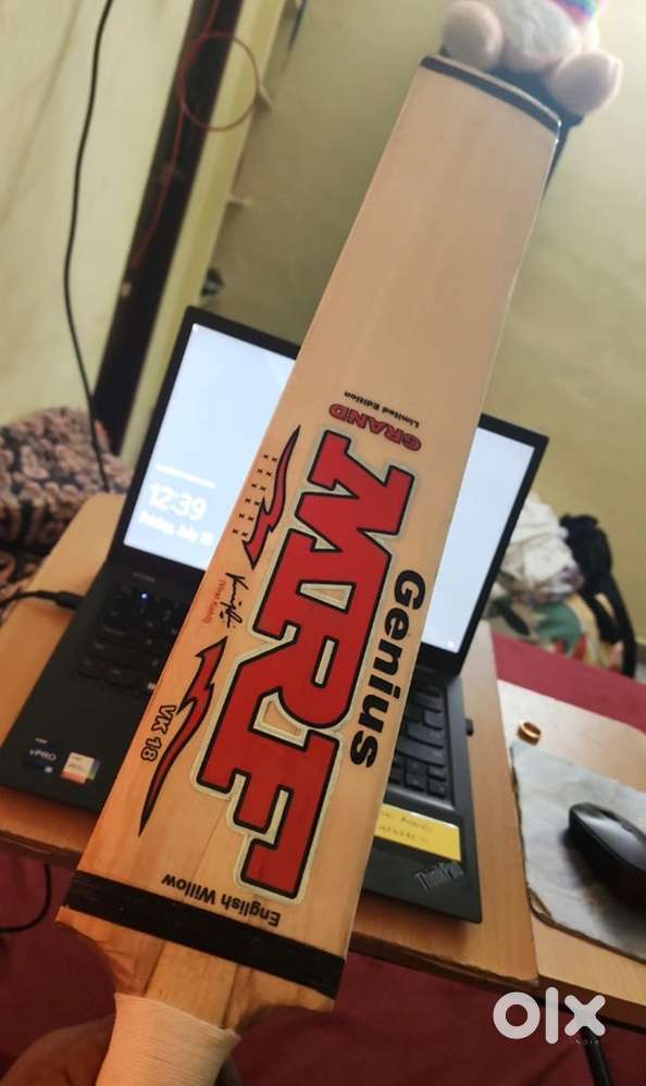 English willow cricket bat