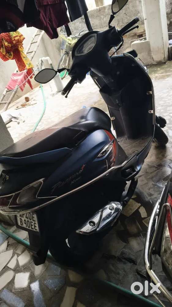 Spl Edison sports model