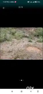 Mandala Baddi  (interested ho wahi message Karen)