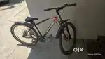 Bicycle - Brand New- Cosmic