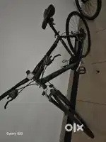Firefox momentum hybrid road bike
