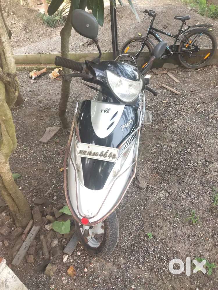 Urgent seal scooty