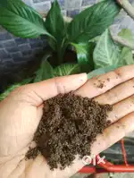 Soil mixture with organic fertilizer @ 15rs pr kg bulk enquiry welcome