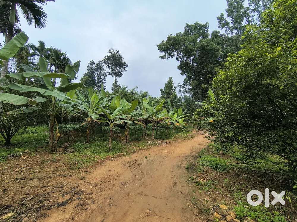 LAND FOR SALE