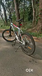 Nice cycle