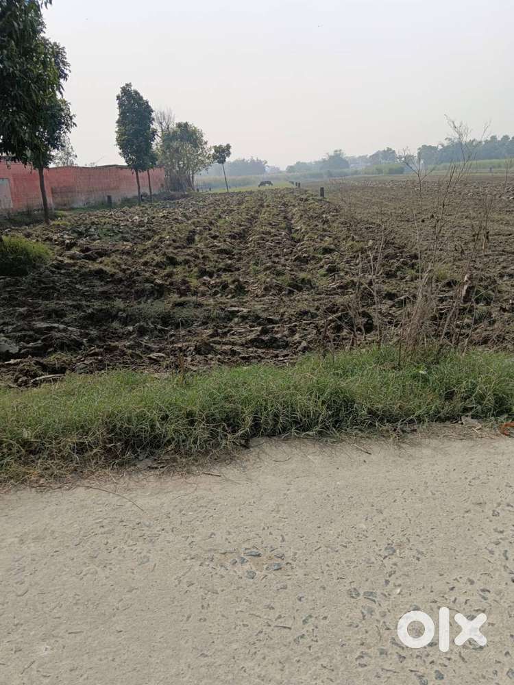 साढ़े चार डिसमिल  प्लाट