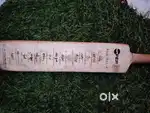 2003 world cup match australia vs South Africa .australia winning bat